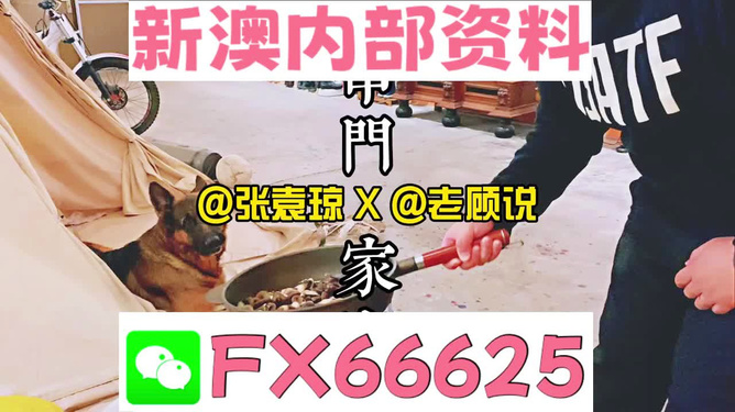 澳门管家婆揭示数字选择的技巧与策略,澳门管家婆_{关键词3}