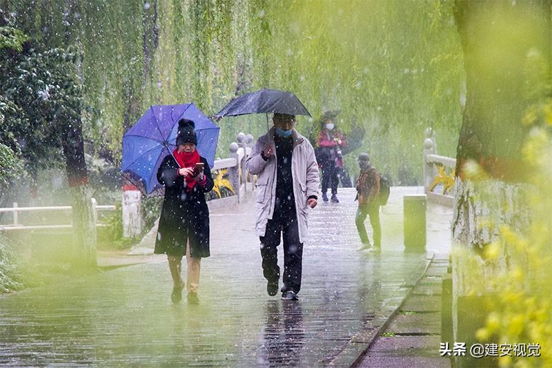 河南多地降下鹅毛大雪，冬日的诗意与壮丽