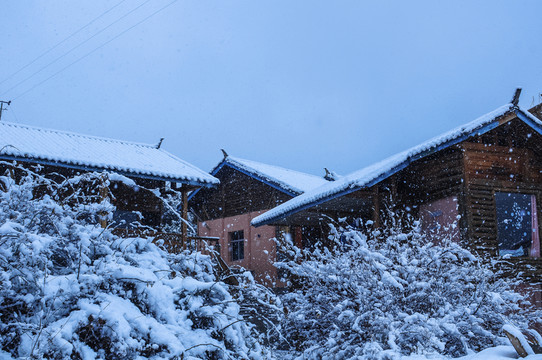 下雪的云南有多浪漫