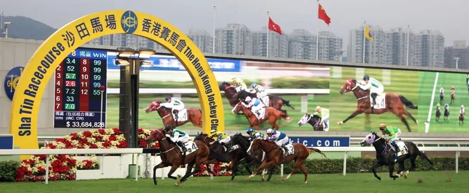 港澳研究院买马开奖青年人的力量与创造力,港澳研究院买马开奖_Tablet47.686