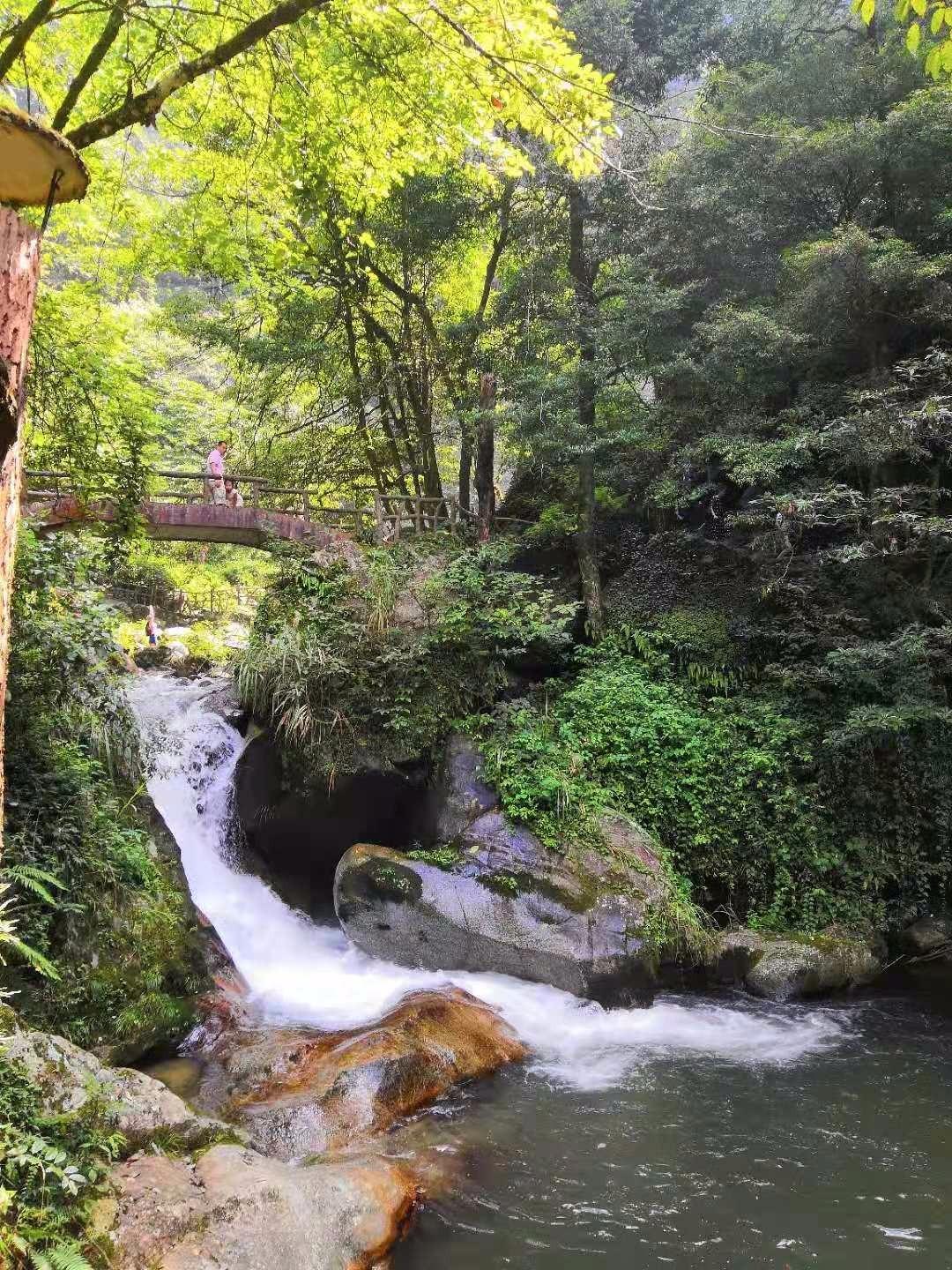 触目惊心！湖南地下工厂竟公然加工穿山甲，背后真相让人不寒而栗！