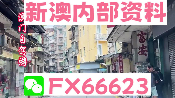 2025新澳精准资料免费曝光！效率解答引爆争议，VE版81.767竟暗藏惊人秘密？